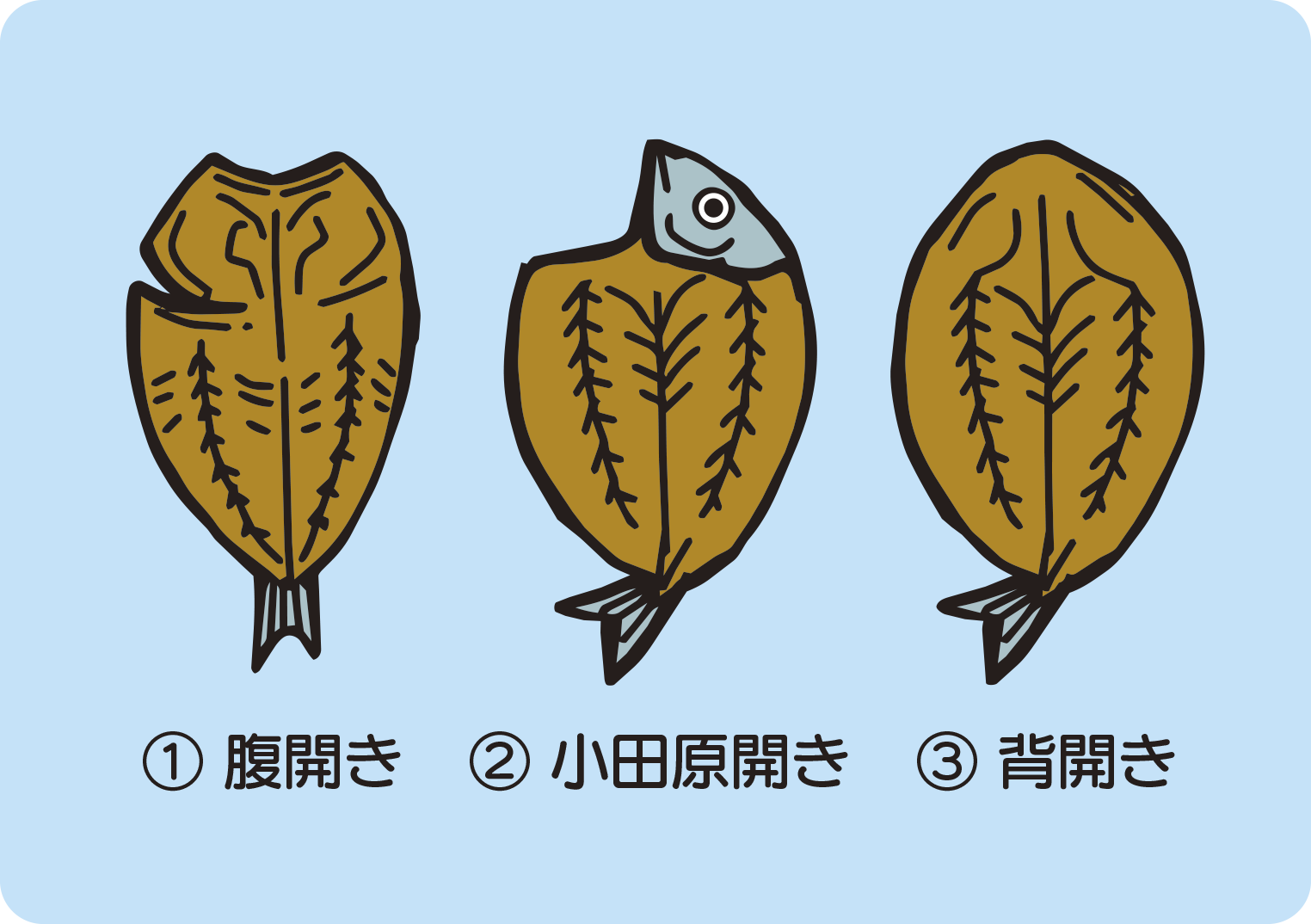 クイズのイラスト