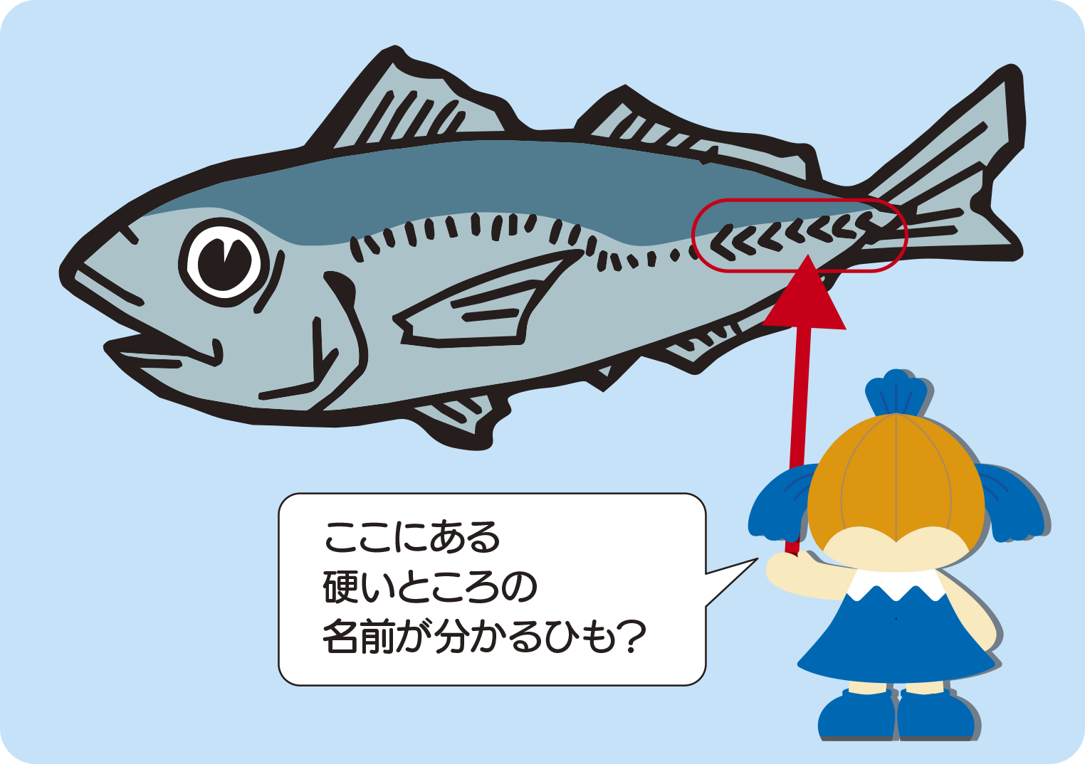 クイズのイラスト