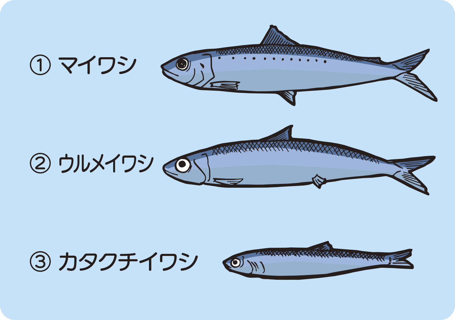 クイズのイラスト