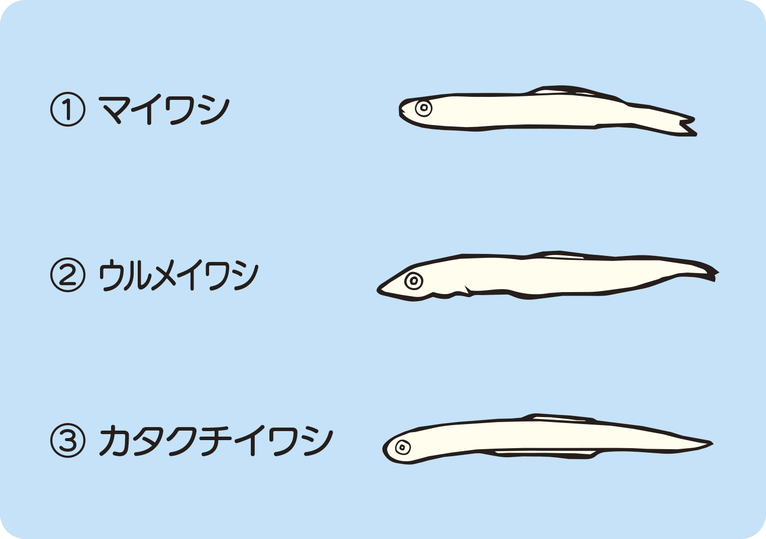 クイズのイラスト