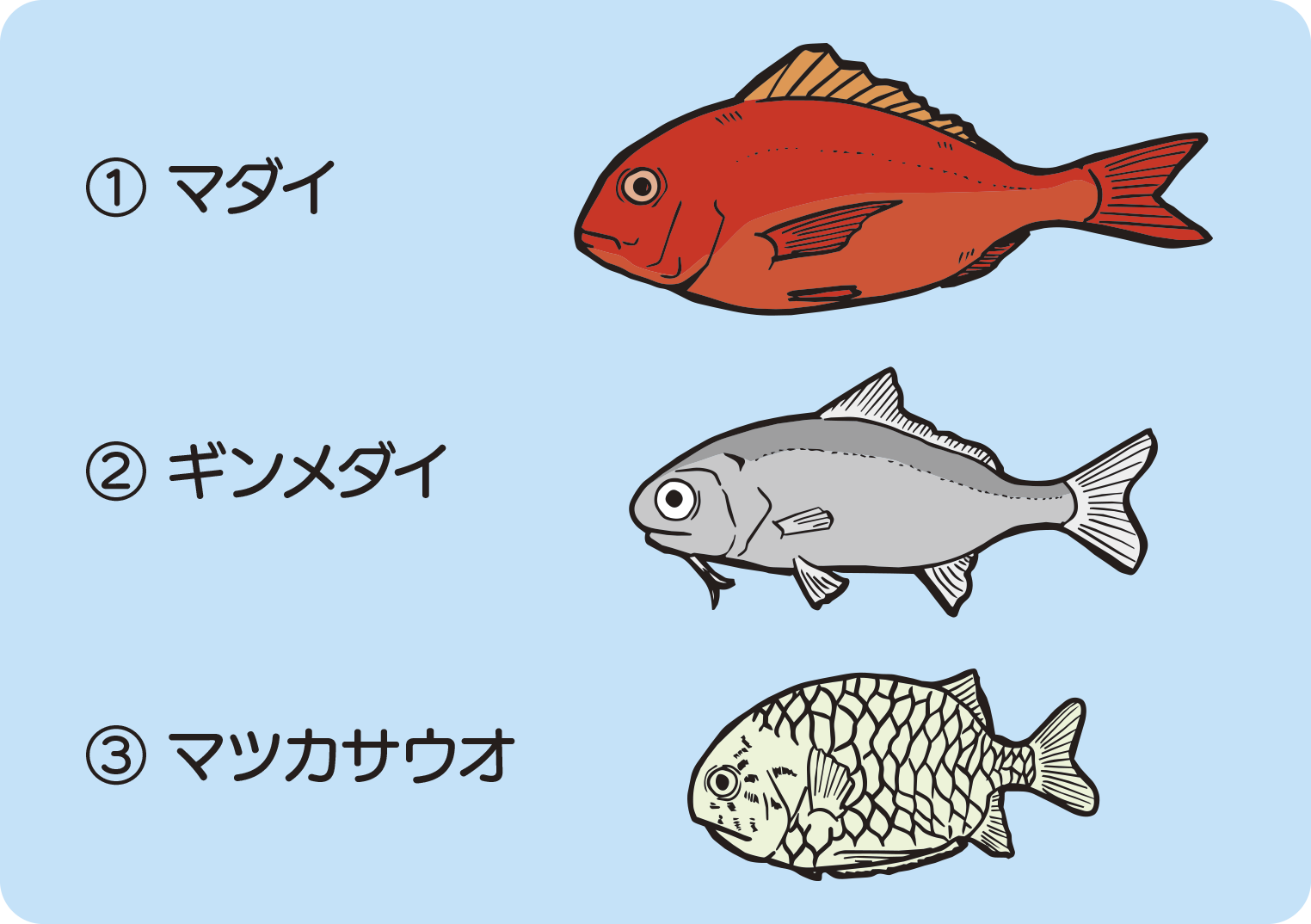 クイズのイラスト