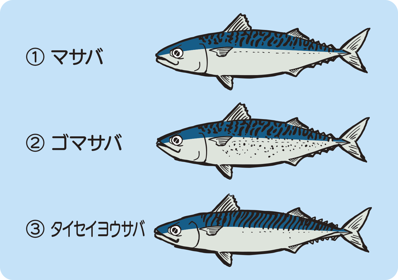 クイズのイラスト