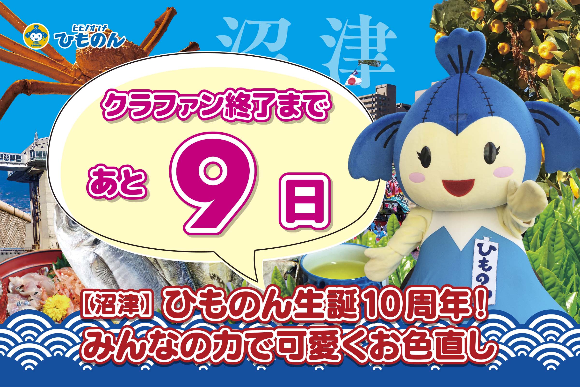 クラファンありがとう特集！【沼津】ひものん生誕10周年！