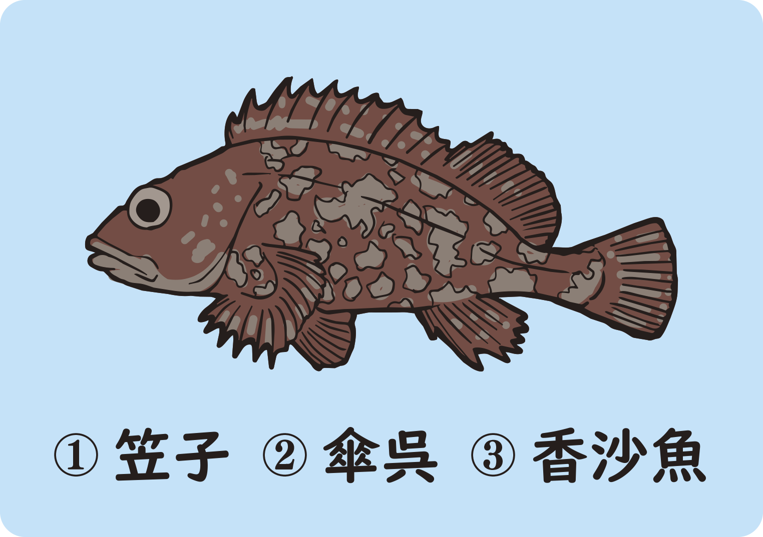 カサゴクイズ第1問のイラスト